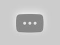 Chihuahua Training - A Detailed Video on Potty Training &amp; Crate Training A Chihuahua