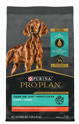 Best Dog Food for Inflammatory Bowel Disease (2024)